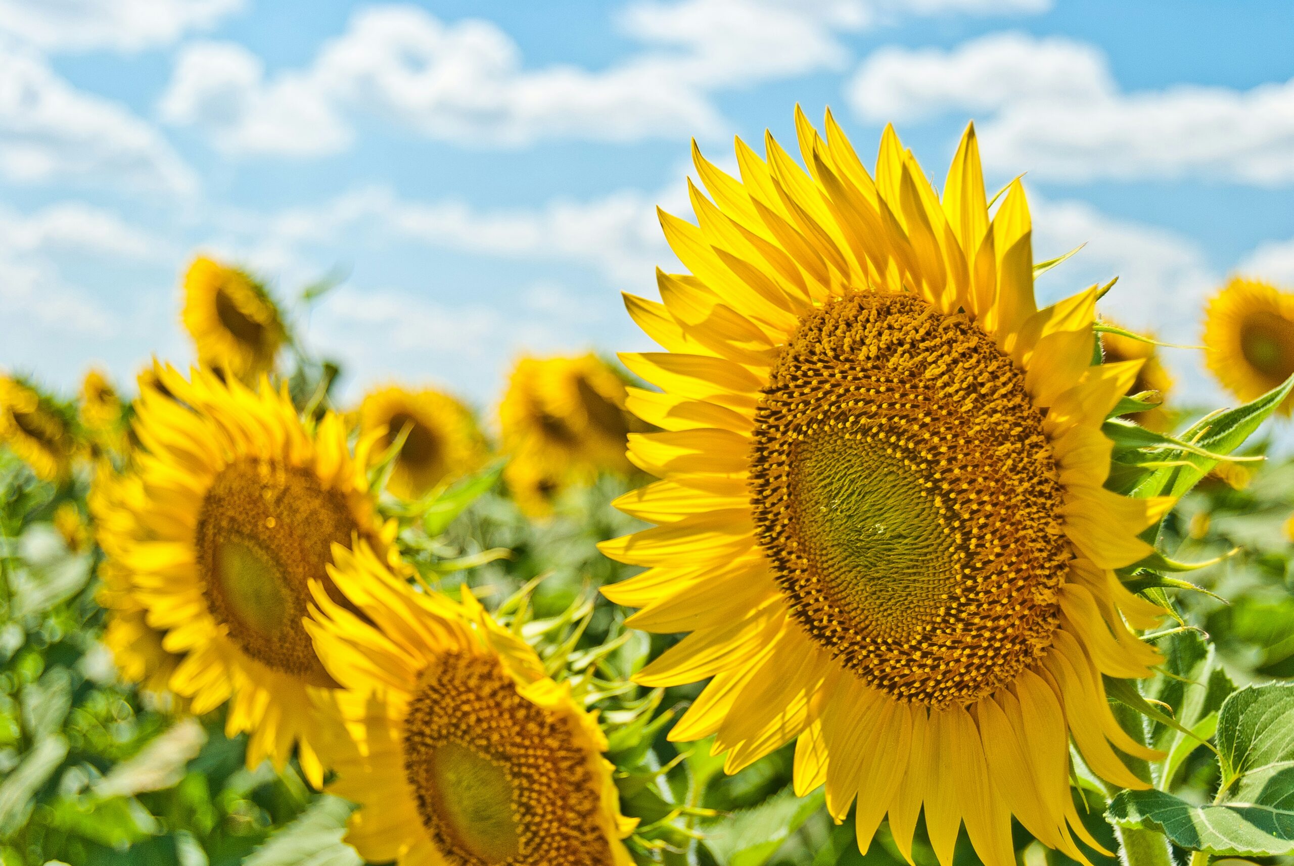 Read more about the article Wir machen Urlaub